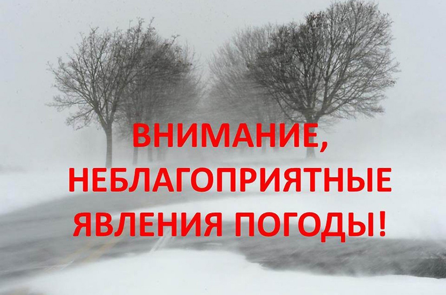 Сильный ветер и снег с дождем ожидаются в Псковской области и Республике Карелия.