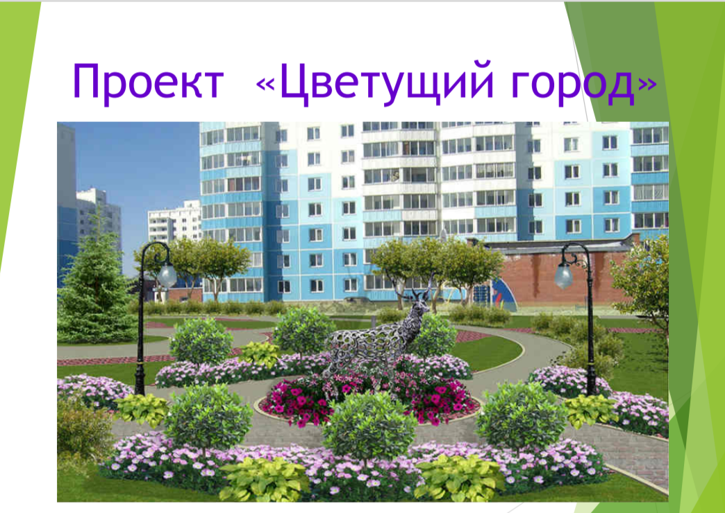 Инициативный проект &quot;Цветущий город&quot;.