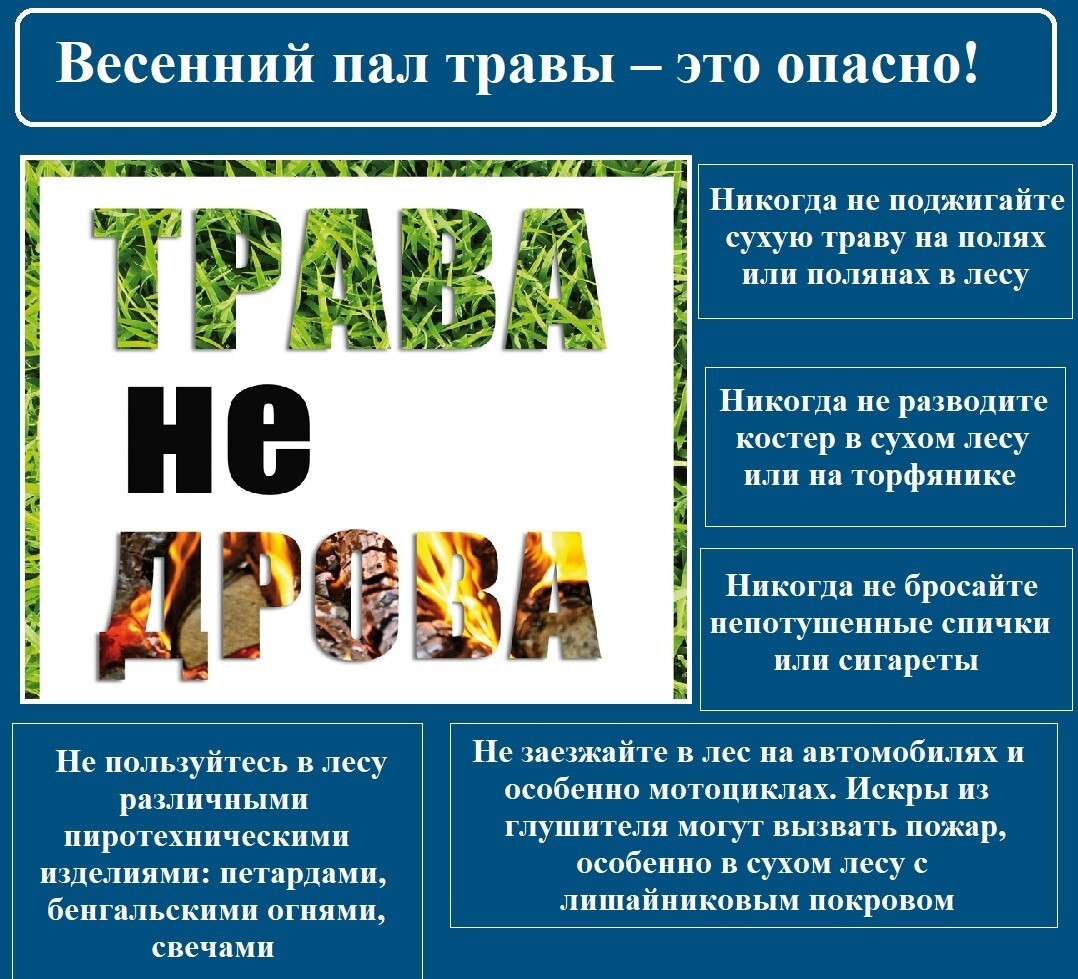 Памятка МЧС: Пал сухой травы недопустим!.