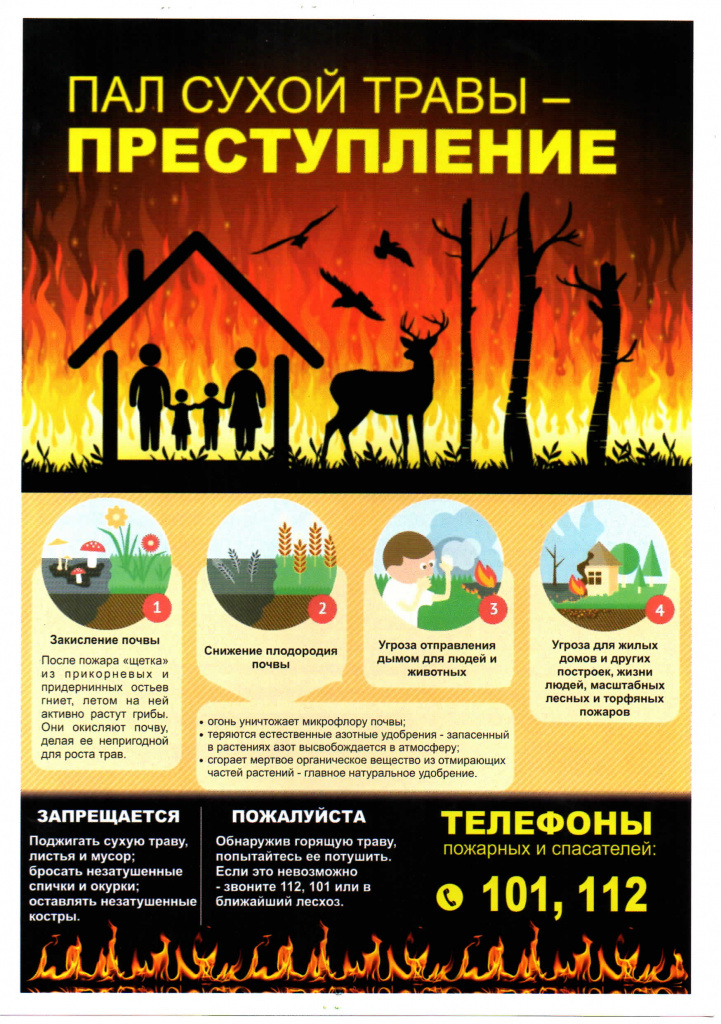 Останови огонь – не сжигай сухую траву!.