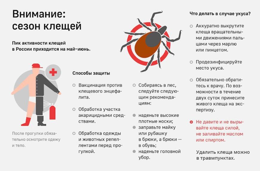 «Клещевой вирусный энцефалит (КВЭ) и меры его профилактики»..