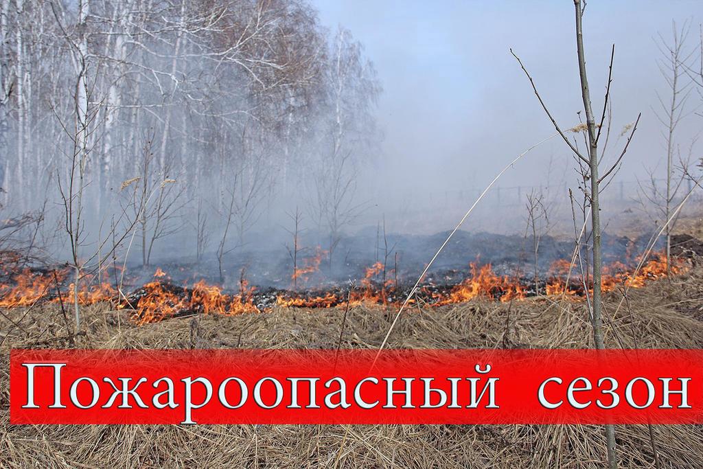 Не поджигай сухую траву!.