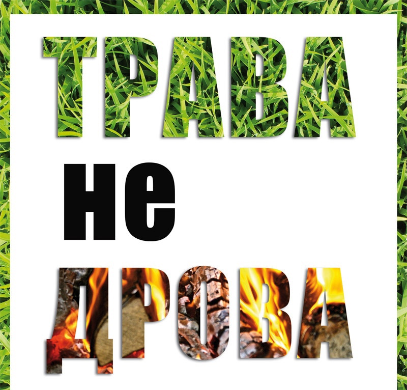 Палы травы — серьёзная угроза для природы и её обитателей!.