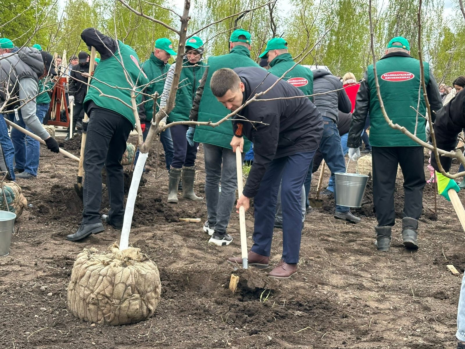 В Великих Луках началось благоустройство территории у Братского кладбища.