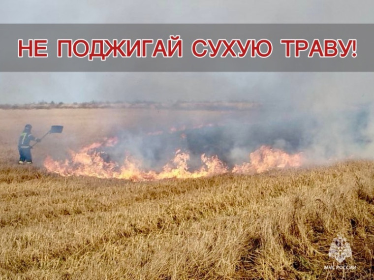 МЧС Псковской области напоминает об ответственности за травяной пал. МЧС Псковской области напоминает об ответственности за травяной пал.