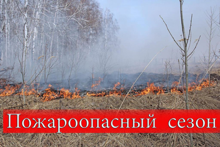 Не поджигай сухую траву!. Не поджигай сухую траву!.