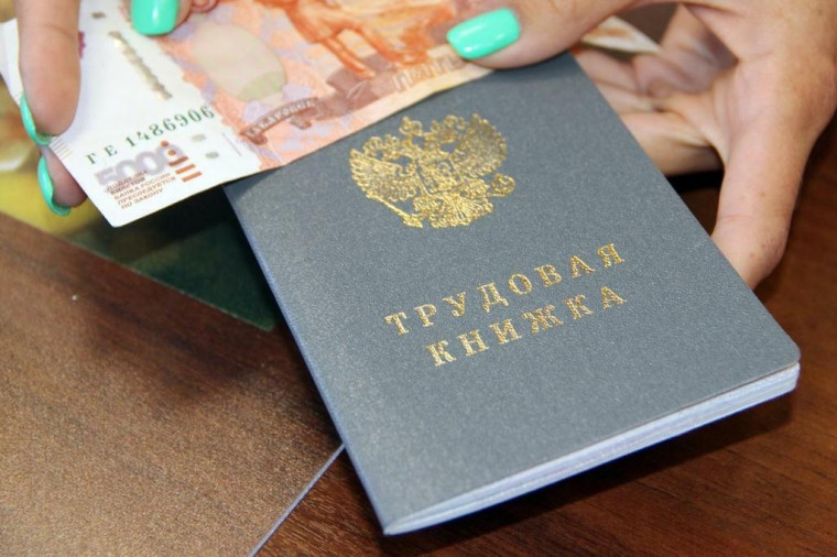 Теневая занятость и её последствия. Теневая занятость и её последствия.